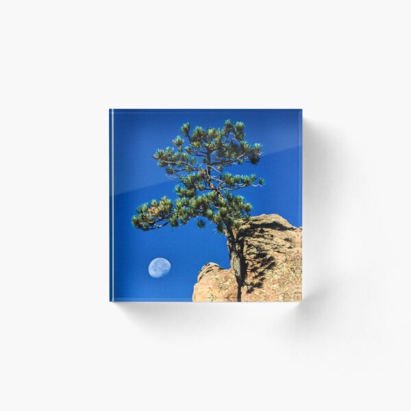 Moon Tree Acrylic Block