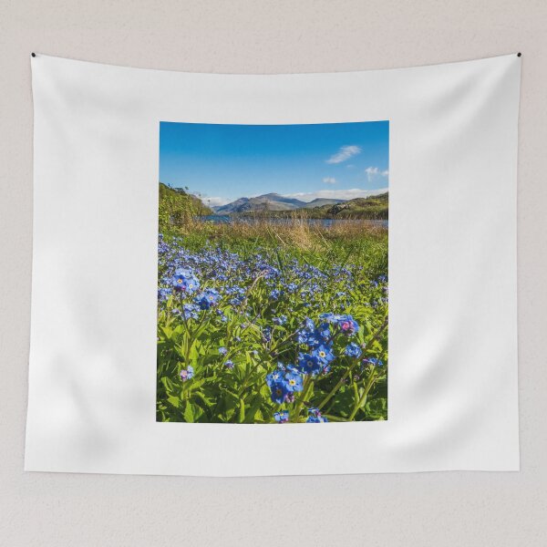 Item preview, Forget-me-nots at the foot of Snowdon designed and sold by DafyddEm.