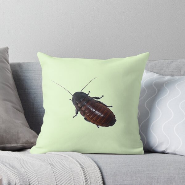 Item preview, Madagascar Hissing Roach designed and sold by Monodicadesigns.