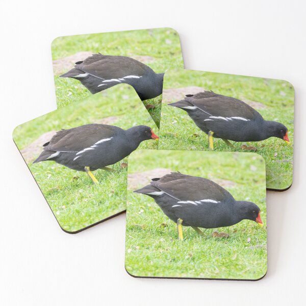 Item preview, Moorhen designed and sold by iCimages.net.