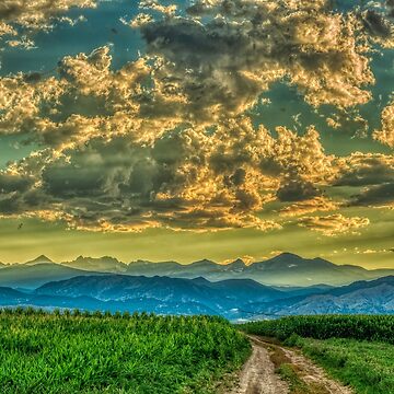 Artwork thumbnail, Sunset And Cornfields by nikongreg