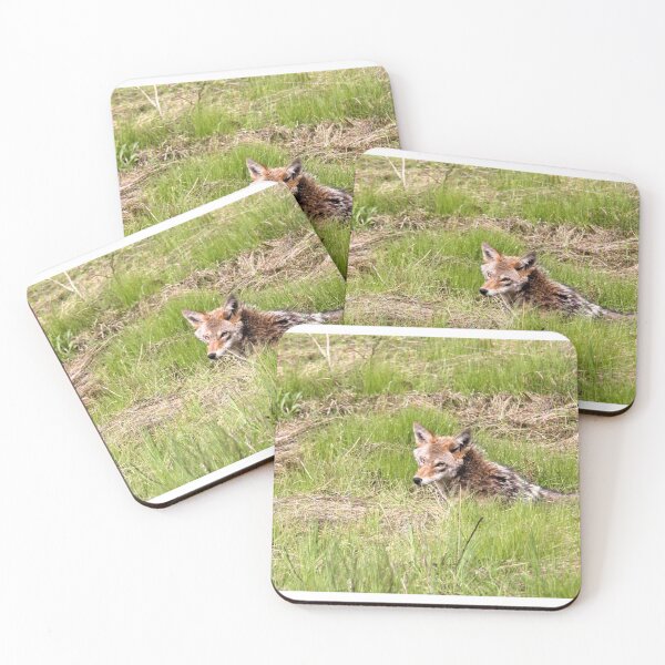 Item preview, Coyote in The Grass.. designed and sold by RichImage.