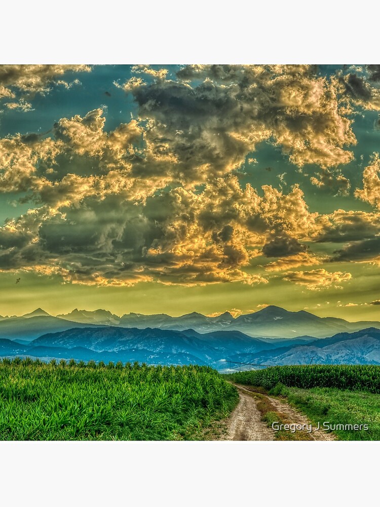 Sunset And Cornfields by nikongreg