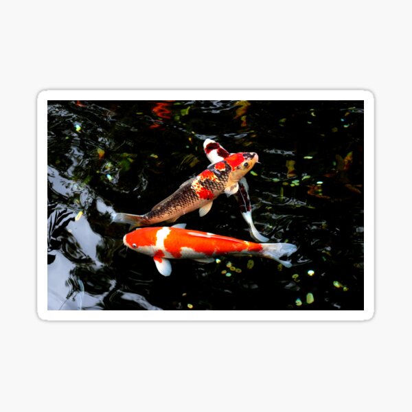 Item preview, Koi carp designed and sold by fourretout.