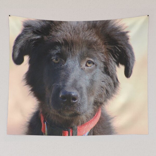 Item preview, INTRODUCING ! designed and sold by Magriet Meintjes.