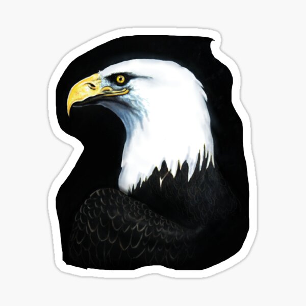 Bald Eagle Sticker
