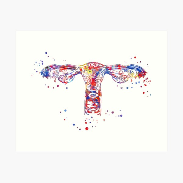 Item preview, Uterus, watercolor uterus, human organs, gynecology anatomical art designed and sold by Rosaliartbook.