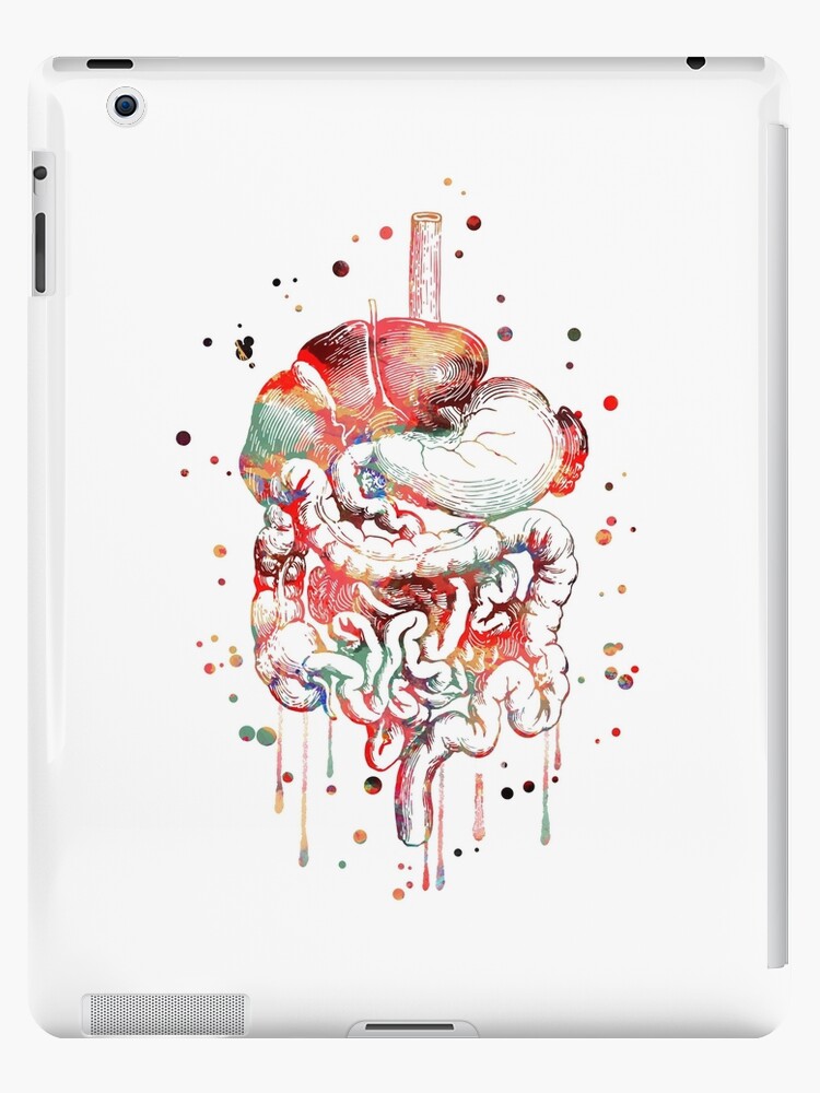 Verdauungssystem Anatomie Kunst Menschliche Organe Magen Darm Trakt Ipad Hulle Skin Von Rosaliartbook Redbubble