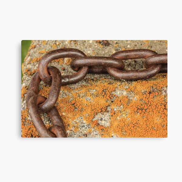 Item preview, Chain and Lichen designed and sold by Gary Horner.