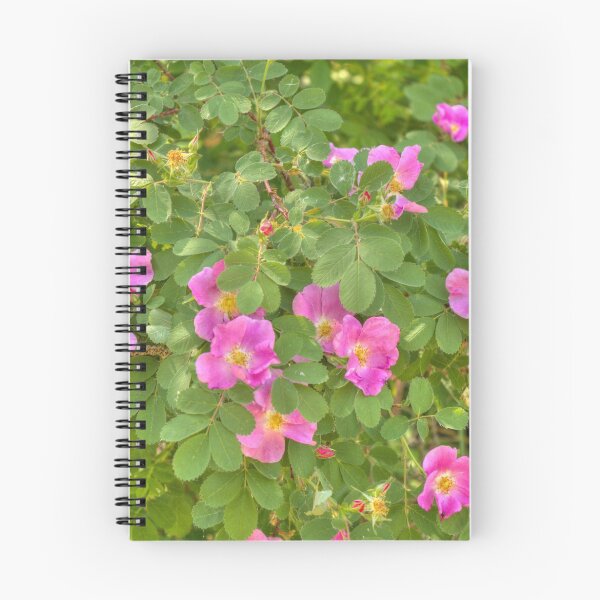 Item preview, Wild Roses designed and sold by Jim Sauchyn.