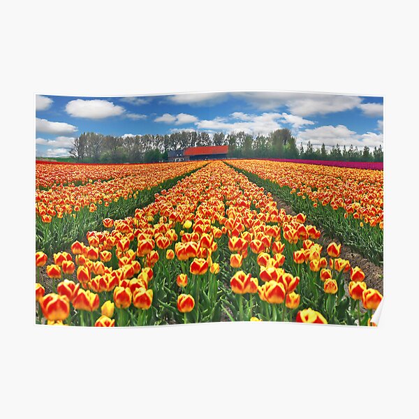 Colors of Spring 3 Poster