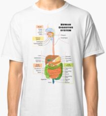 t shirt digestive system