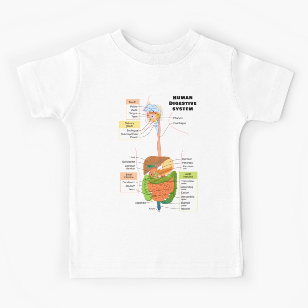 digestive system on t shirt