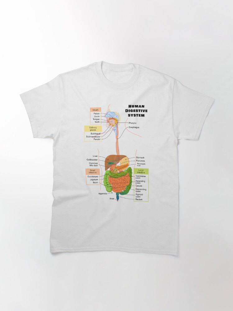 digestive system on t shirt