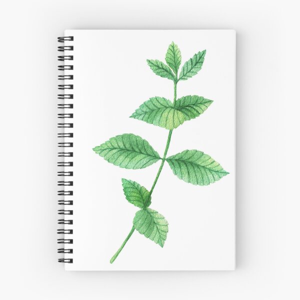 Item preview, Mint designed and sold by InCami.