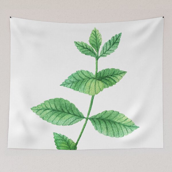 Item preview, Mint designed and sold by InCami.