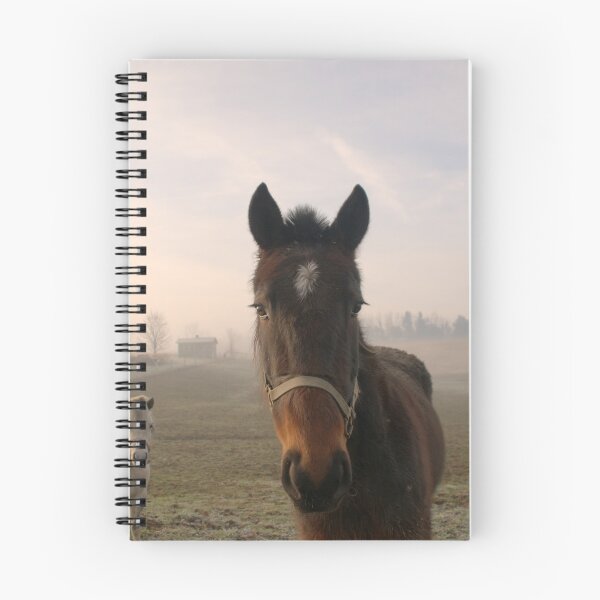 Item preview, "Good Morning" Amish Horses. designed and sold by Billlee.