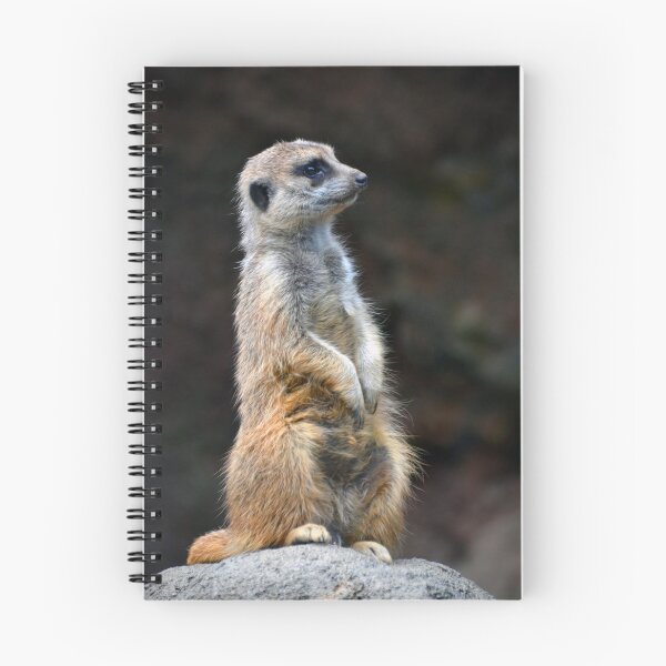 Item preview, Meerkat  designed and sold by Savannah Gibbs.