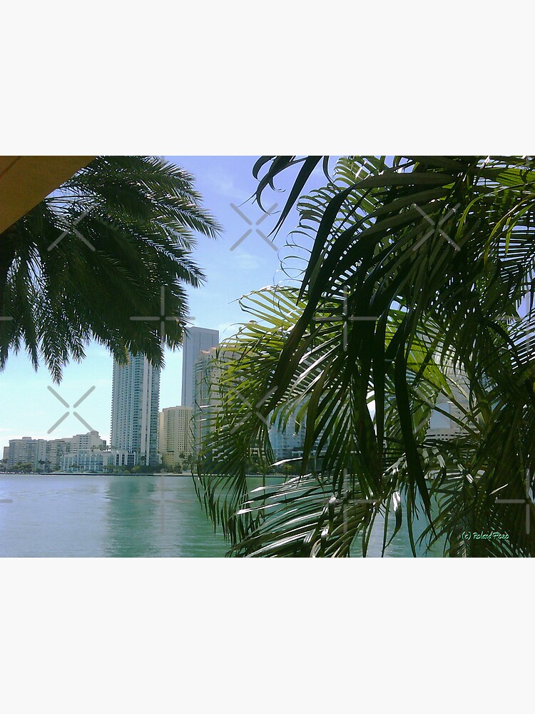 Brickell Bay by photorolandi