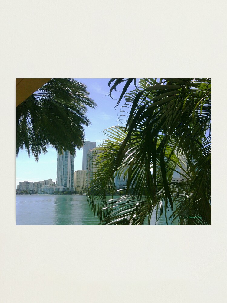 Alternate view of Brickell Bay Photographic Print