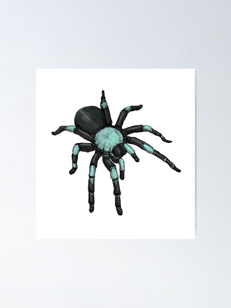 “Neon Tarantula " Poster by maxziee | Redbubble