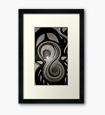 Evolution Framed Print
