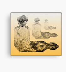Empty Dreams Canvas Print