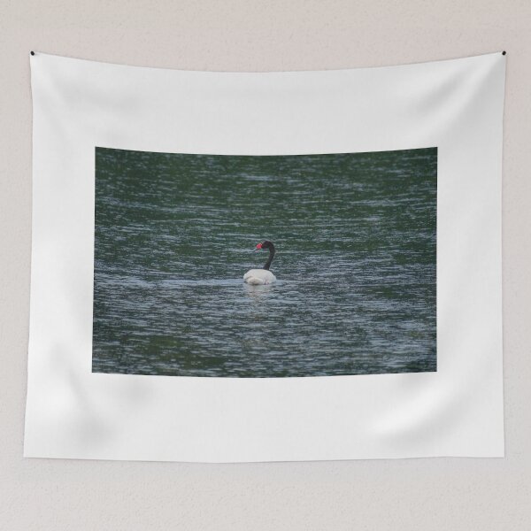 Item preview, bbs Swan River designed and sold by pcfyi.