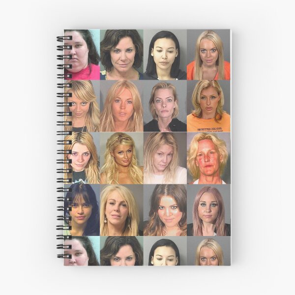 Item preview, The Fame Monster - Female Celebrity Mugshots designed and sold by Clinton Moore.