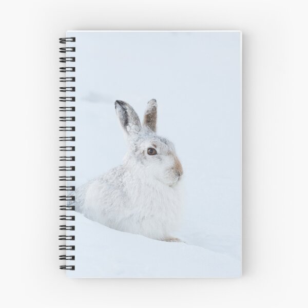 Item preview, white rabbit, white bunny and white snow designed and sold by chanonry.