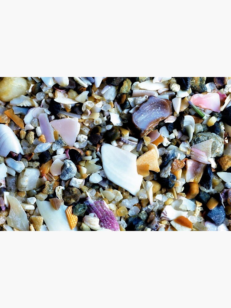 Crushed shells by fardad