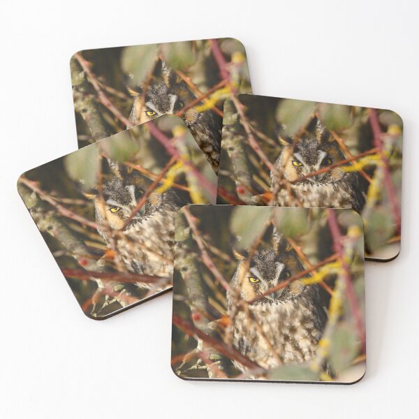 Item preview, Long Eared Owl trying to sleep designed and sold by RichImage.