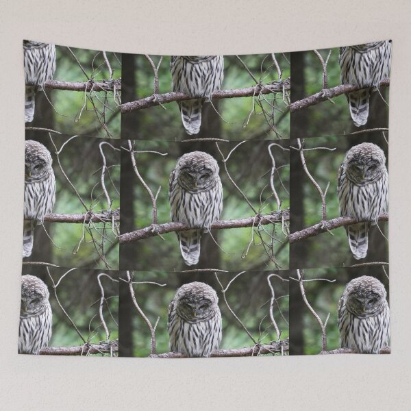 Item preview, Light Phase Barred Owl designed and sold by RichImage.