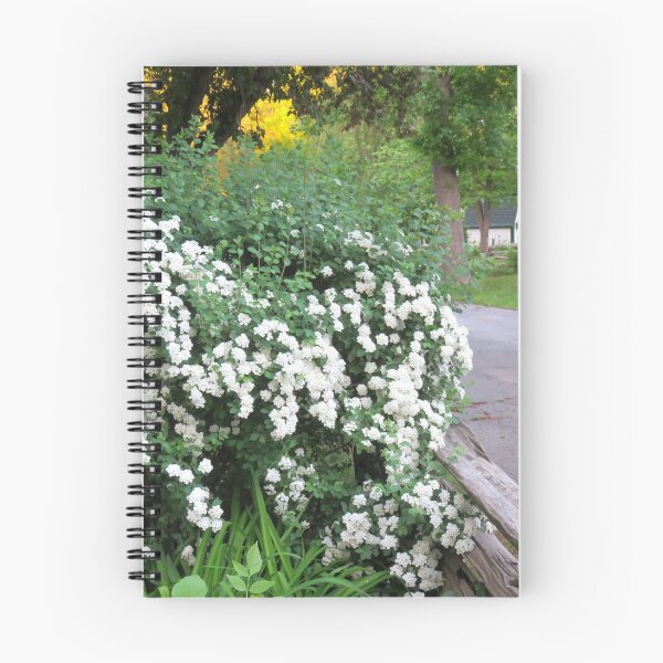 Item preview, Country Roads designed and sold by Sandra Fortier.