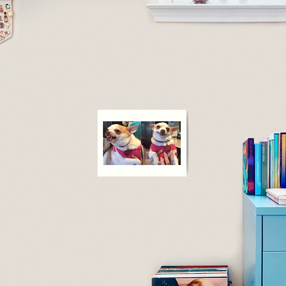 " Lily Lu Meme" Art Print by FlashmanBiscuit Redbubble