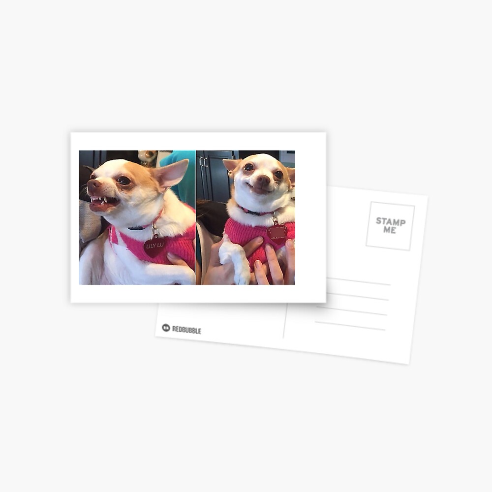 " Lily Lu Meme" Postcard by FlashmanBiscuit Redbubble