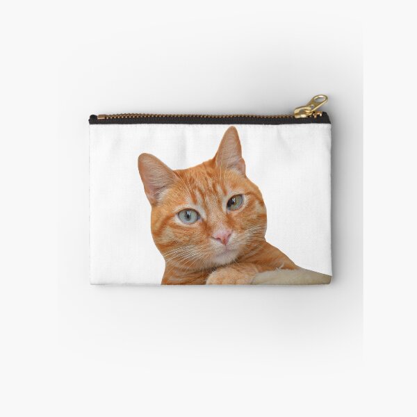 Item preview, Orange cat designed and sold by georgiavsx.
