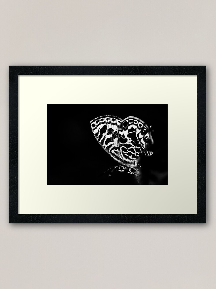 Alternate view of Black butterfly Framed Art Print