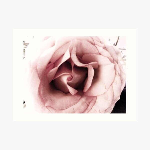 untitled flower Art Print