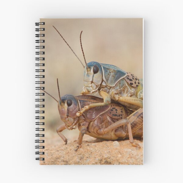 Item preview, Grasshopper Romance designed and sold by WorldDesign.