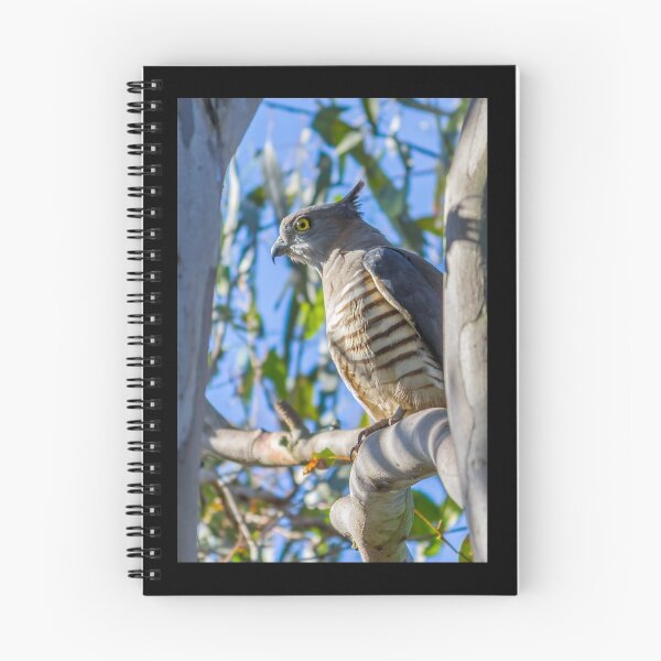 Item preview, Pacific Baza designed and sold by Teale Britstra.