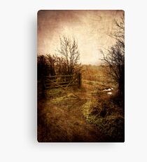 *five bar* Canvas Print