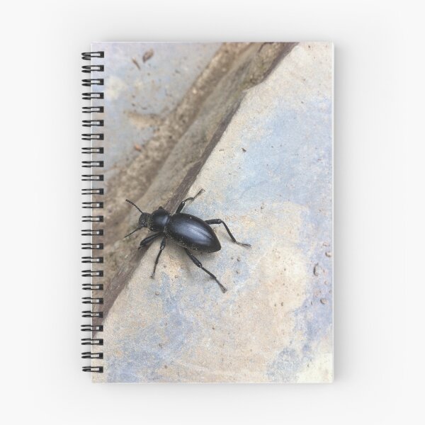 Item preview,  Go Beetle Go designed and sold by Carthage64.