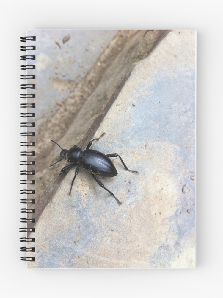 Thumbnail 1 of 3, Journal, Go Beetle Go designed and sold by Carthage64.
