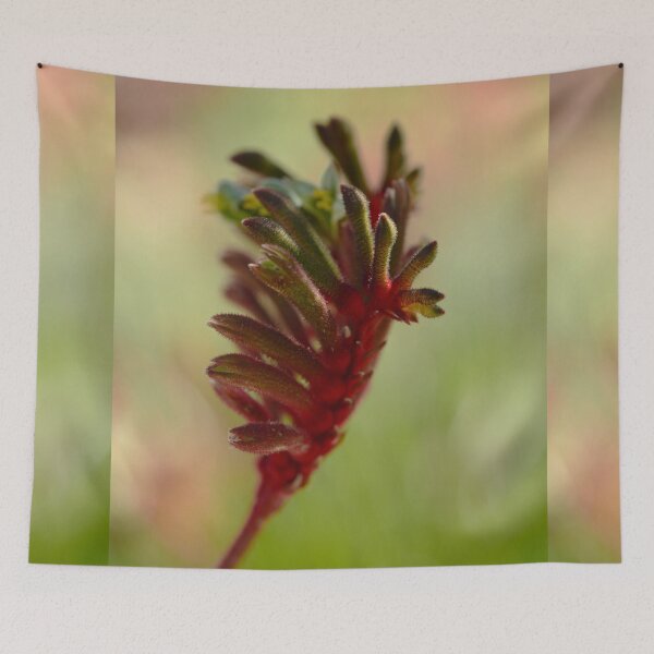 Item preview, Flowering Beauty - Kangaroo Paw designed and sold by imaginethis.