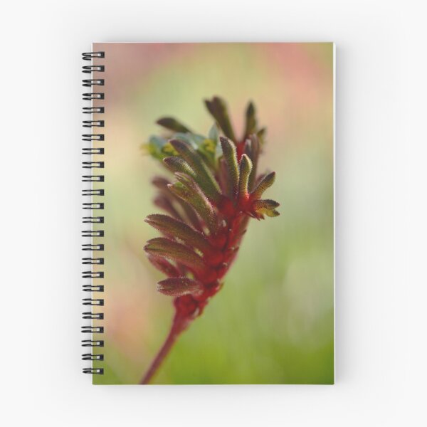 Item preview, Flowering Beauty - Kangaroo Paw designed and sold by imaginethis.