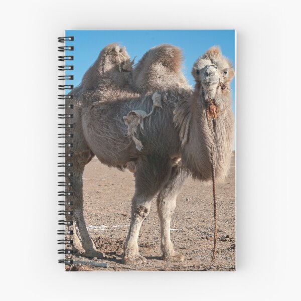Item preview, Bactrian Camel2. designed and sold by bulljup.