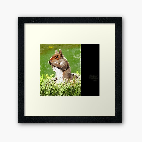 Backyard Contentment Framed Art Print