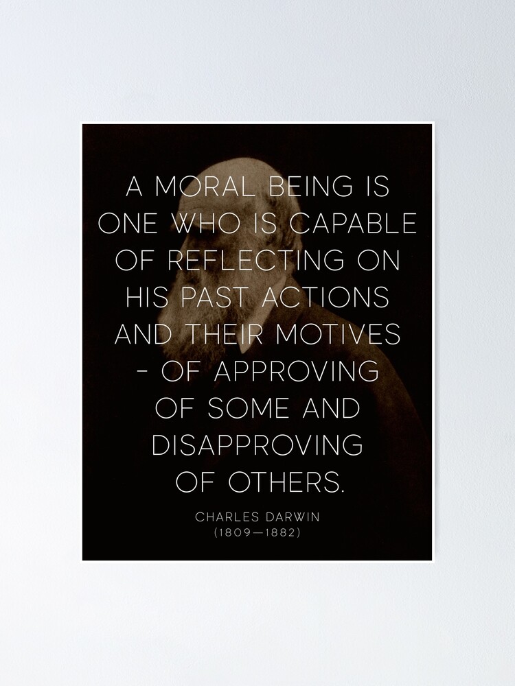 Poster Art Print Photo Gift Motivation CHARLES DARWIN The Wisdom of..