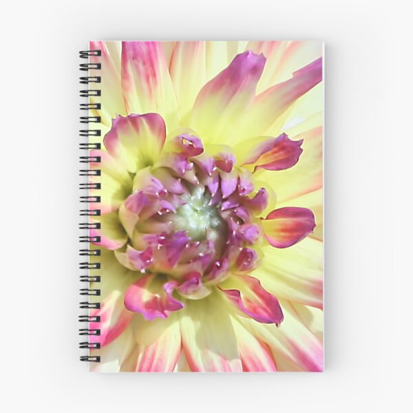 Item preview, Petal Burst designed and sold by Teresa Zieba.